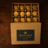 mayana-urun-27-yuksek-cozunurluk Özel Karışık Gerebiç Paketi